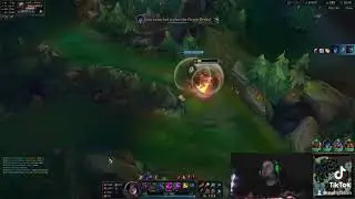 Adc Life