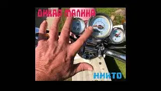 Никто... Дикая малина... Под водой.