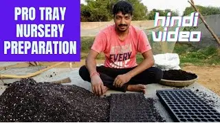 प्रोट्रे कोकोपीट नर्सरी How to grow Vegetable Seeds in Seedling Tray.Pro Tray Nursery kese tyar kren