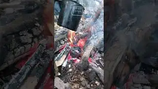 САМЫЙ ПРОСТОЙ СПОСОБ СДЕЛАТЬ ТРУТ В ЛЕСУ 