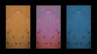 G!GA LURGH - Marbles (Official Video)