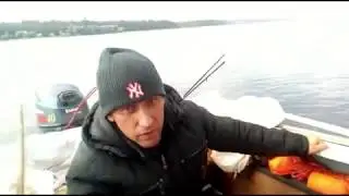 Судак на тюльку..Лучшие моменты