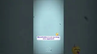 Modern Sperm Selection 🔬