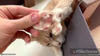 10 minutes of Daily Dose of Internet