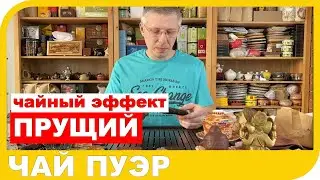 🌱 ПУЭР ПРЕТ. Почему пуэр прущий? С чем это связано?