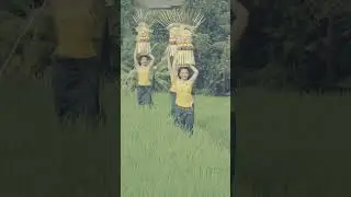 Jejak Kompas Petualang | Budaya Mapeed Bali