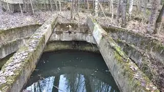Сталк по лесу.