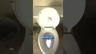 Туалетный Байден - предвыборные сувениры в США