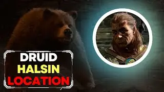 RESCUE THE DRUID HALSIN FROM THE GOBLIN CAMP | BALDURS GATE 3 MAIN QUEST