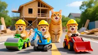Mama Cat Trims Fur on the Farm and Makes Tiger Hat For Kittens At Home🐾🎩🐯