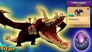 VOLTKNAPPER - Max Level 180 — Hybrid Dragon Showcase | Dragons: Rise of Berk