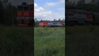 2ТЭ116-1531 со смешанным составом на участке Любятово - Черняковицы.