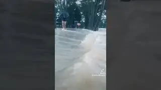 #sylhet #floods #shorts #video