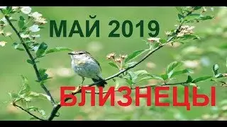 БЛИЗНЕЦЫ МАЙ 2019 / Агата Добровская