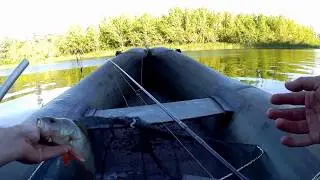 Неожидал такой поклёвки, ОТДАЙ СПИННИНГ!!! Рыбалка с ночёвкой.ОКУНЬ НА РОЖНЕ!