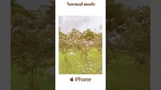 iPhone 14 VS OnePlus 12 Camera Test #shorts #oneplus12 #iphone