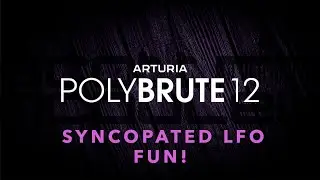 Arturia PolyBrute 12 - Syncopated LFO Fun!