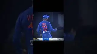 Sigma Virat Kohli: The Ultimate Cricket Bat Review (2024)