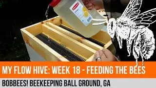 My Flow Hive: Week 18 - Bee Hive Inspection and Feeding
