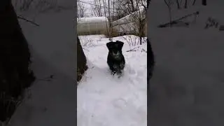 моя зайка❤️ 