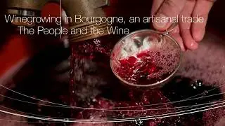 Winegrowing in Bourgogne, an artisanal trade. The People and the Wine