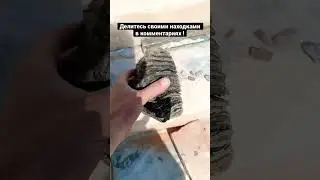 Зуб мамонта