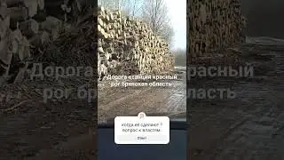 2 февраля 2024 г.