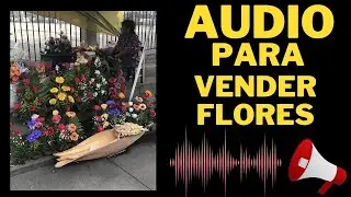 📢AUDIO para Vender FLORES 💐🌸