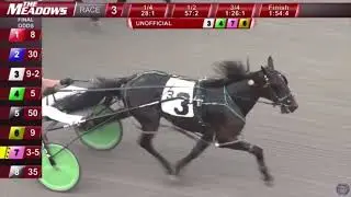 BLUE VENTURA maiden win - Aug 3/24