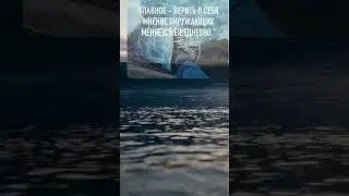 #цитаты