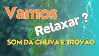 Sons da natureza para você relaxar