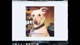 sasacilo videoebi