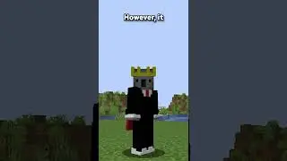 MINECRAFT LITE EDITION...