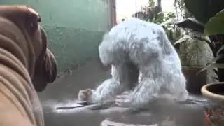 Tsuka homem de gelo