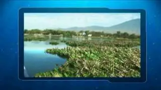 Control de maleza acuática en la Presa 