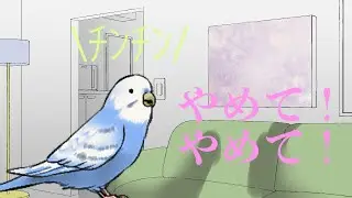信じて送り出したインコが下ネタだけおぼえて帰ってきた