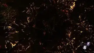 Dead by Daylight speedy ass kicking by Michael