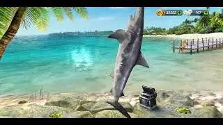Fishing Clash / Поединки / Апгрейд Рыбы