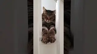 King Kenny Just Chillin' King Style