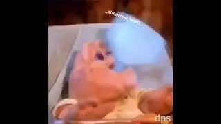 dps memes