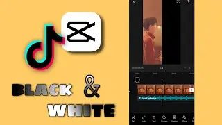HOW TO OVERLAY BLACK AND WHITE FLASH OVERLAY TUTORIAL