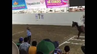Congreso Nacional Charro Chiapas 2016 - Juan Pablo Franco