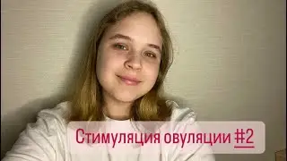 Стимуляция овуляции #2 | Мои итоги | Получилось или нет?