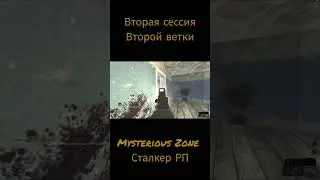 Любовь к Mysterious  Zone #любовьнарасстоянии  #сталкер #mysteriouszone
