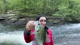 FISHING FLOR AND JERKBAITS