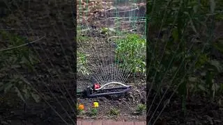 First Time Gardening