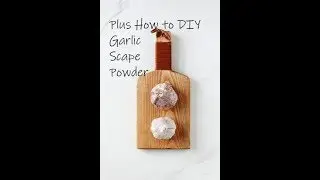 How, Why, & When to Harvest Garlic Scapes - Bonus: Making Scape Powder