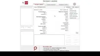 SEO анализ сайта с помощью программы Site Auditor.