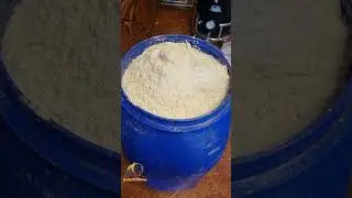 ПШЕНИЧНАЯ БРАГА НА ДРОЖЖАХ KODZI NOMIKAI | ПРАВИЛЬНЫЙ РЕЦЕПТ 