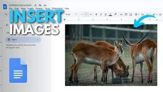 How to Insert an Image in Google Docs